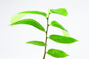 产品研发工具横向对比测试